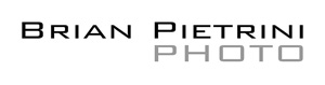 Main Logo